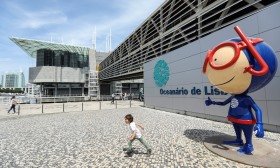 Oceanário de Lisboa reabre "casa" dos pinguins quase um ano depois