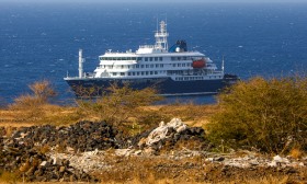 Centro Europeu diz que risco do surto respiratório a bordo de navio é baixo para a Europa