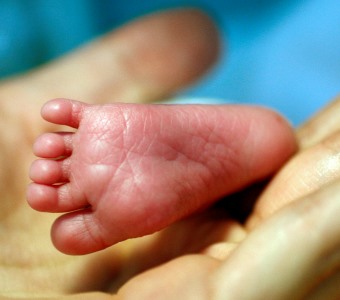 Macau regista em 2025 menor número de nascimentos em quase meio século