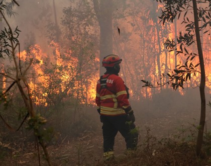 Área ardida este ano quase que triplicou face a 2024 e fogos aumentaram 68%