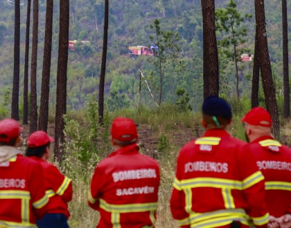 Incêndio em Castelo Branco "quase dominado" e em Torres Novas em rescaldo