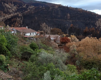 Dezassete concelhos de quatro distritos em perigo máximo de incêndio